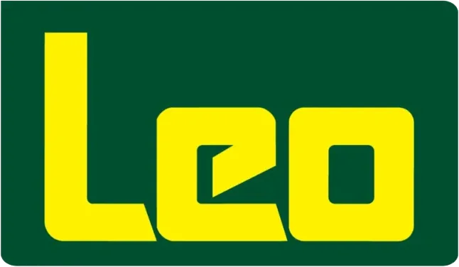 Logo da Leo Madeira